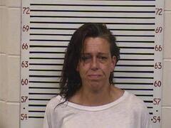 Mugshot of KYLES, TERRIE